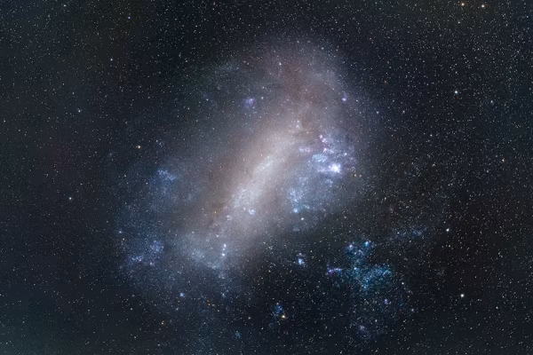 The Large Magellanic Cloud